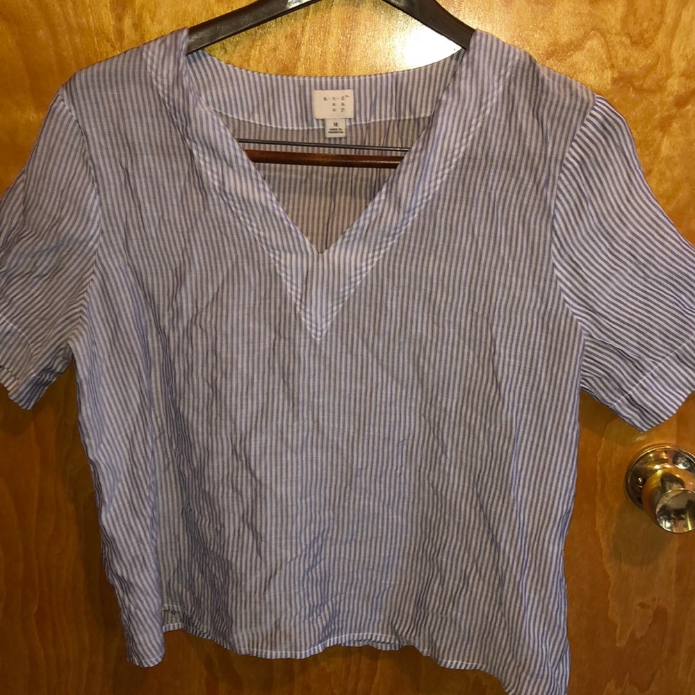 Sheer Pin Striped Shirt